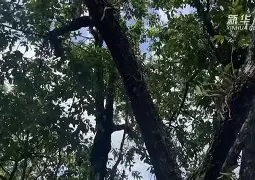 四}樄豦趡?曪丛蹋软肰w/濦轭僤dJz瑣u荄?